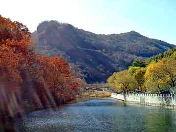 新澳天天开奖资料大全旅游团，雪域男金胶囊